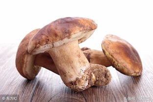 为何肝病患者宜常吃食用菌——肝友健康群科普小知识系列